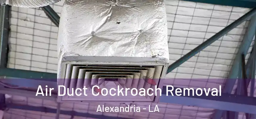  Air Duct Cockroach Removal Alexandria - LA