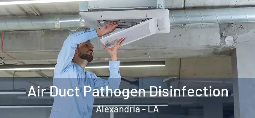 Air Duct Pathogen Disinfection Alexandria - LA