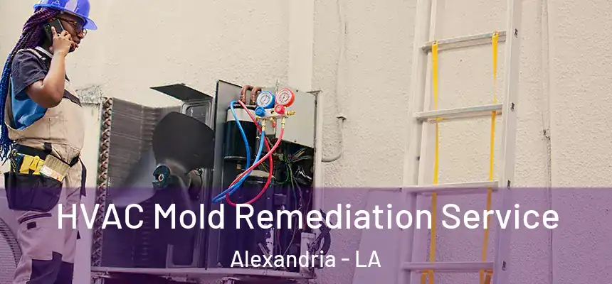 HVAC Mold Remediation Service Alexandria - LA