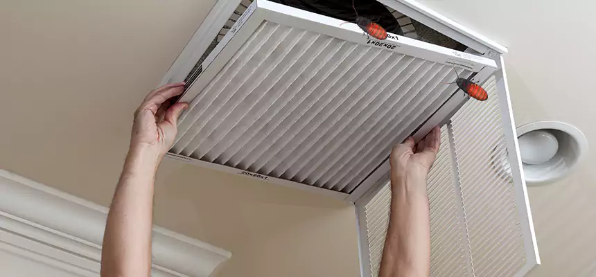 Preventive Cockroach-Proofing for Ducts in Alexandria