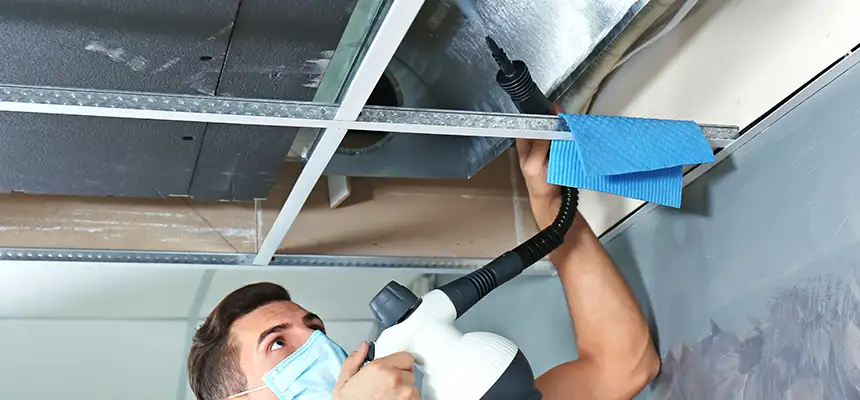 Our Air Duct Rodent Removal Services in Alexandria, LA