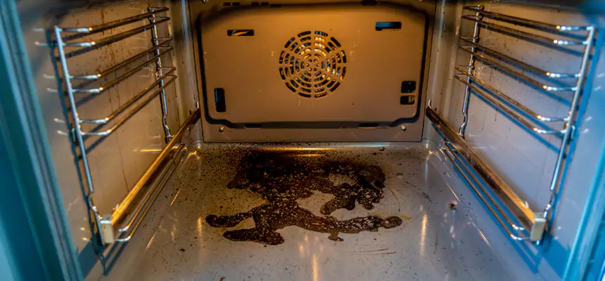 Our Dryer Vent Mold Cleaning Services in Alexandria, LA