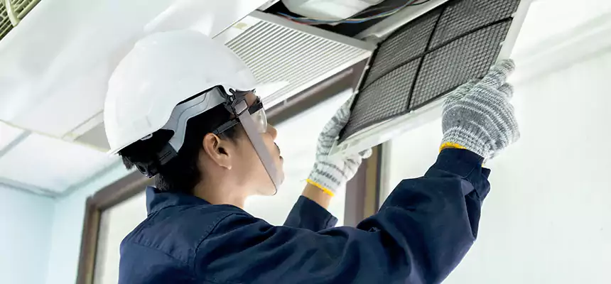 Our Mold & Mildew Removal from Air Ducts Services in Alexandria, LA