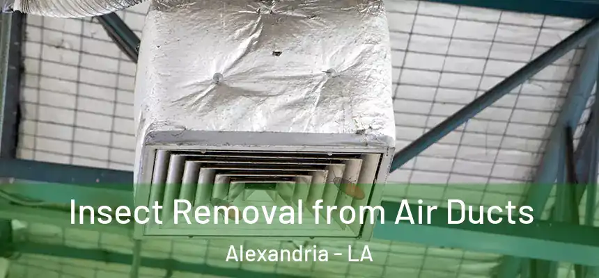  Insect Removal from Air Ducts Alexandria - LA