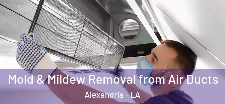  Mold & Mildew Removal from Air Ducts Alexandria - LA