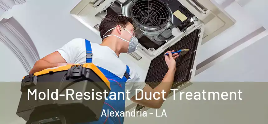  Mold-Resistant Duct Treatment Alexandria - LA