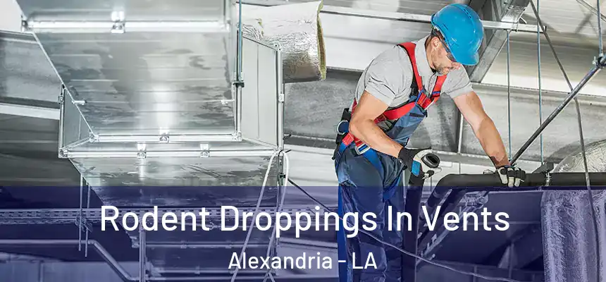  Rodent Droppings In Vents Alexandria - LA