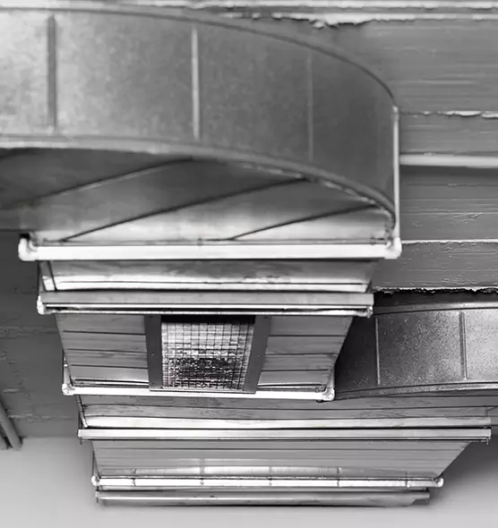 Professional Air Duct Pest Removal in Alexandria, LA