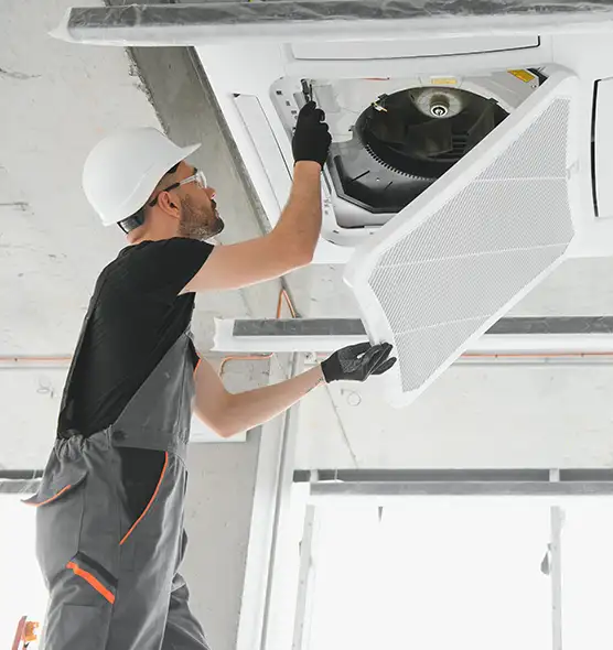 About Air Duct Rodent Removal in Alexandria, LA