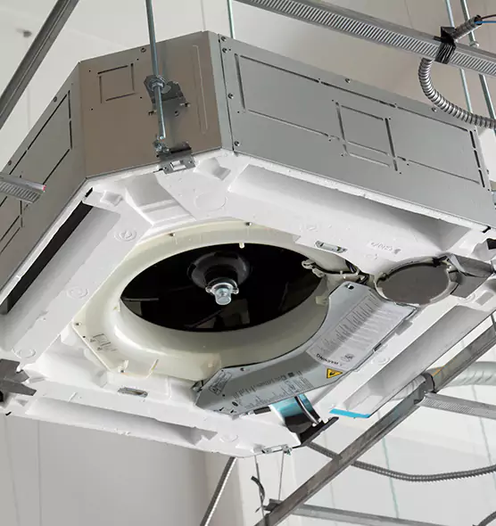 Professional Roof Vent Lint Removal Alexandria, LA