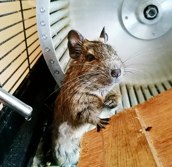 Why Homeowners & Businesses Trust Us Alexandria, LA