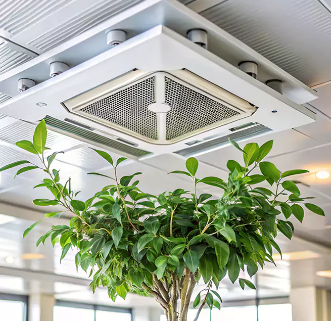 Why Homeowners & Businesses Trust Us in Alexandria, LA?