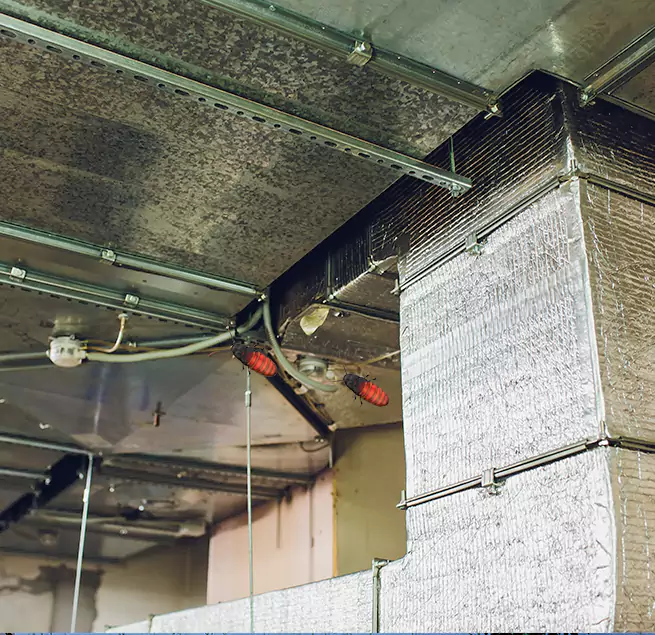 Why Homeowners & Businesses Trust Us Alexandria, LA?