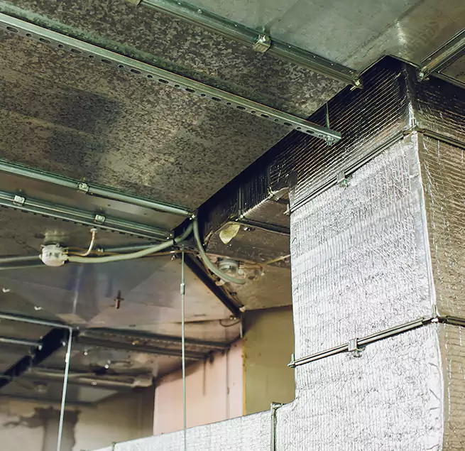 Why Homeowners & Businesses Trust Us in Alexandria, LA?